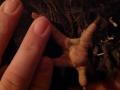 post-3251-0-96111600-1391457297_thumb.jp