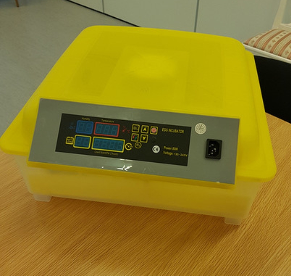 Rugemaskin, hva er bra? Forum for nybegynnere Fuglepraten.no